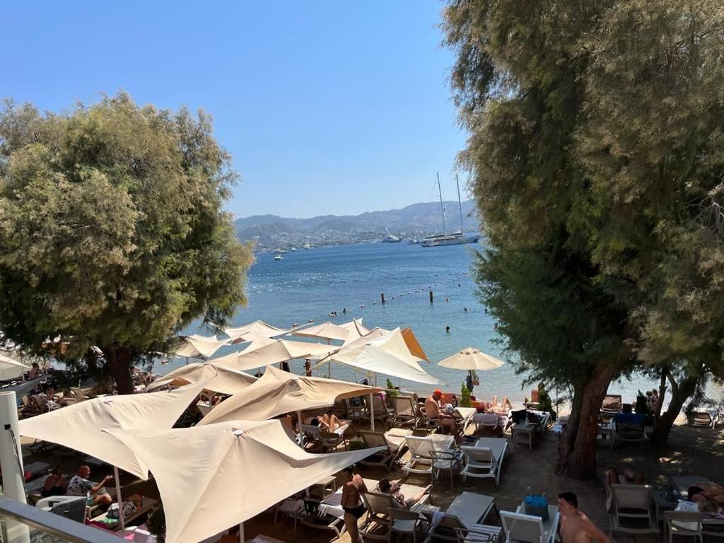 Farrys Boutique Hotel & Beach Club - 얄리카베크 외부 사진